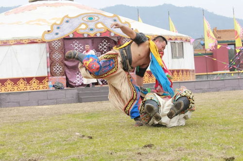 蒙古族摔跤叫什么节