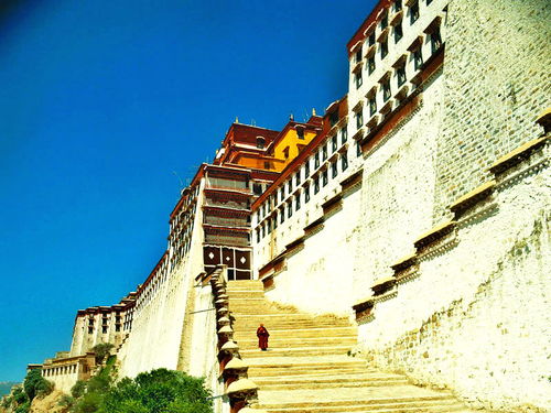 西藏的布达拉宫的现状
